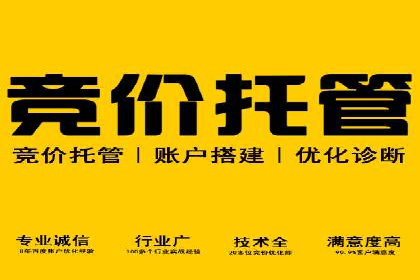 提升关键词竞价排名转化率：经典案例解析